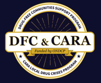 DFC & CARA National Evaluation team logo